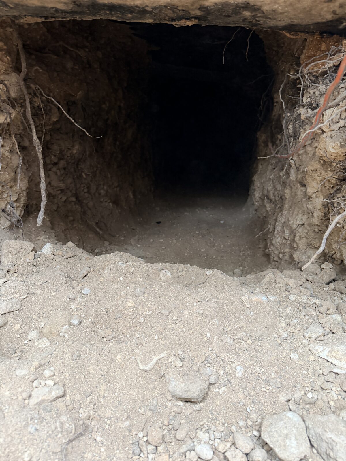 An access tunnel under the slab — the clean path a remodel's new plumbing needs.