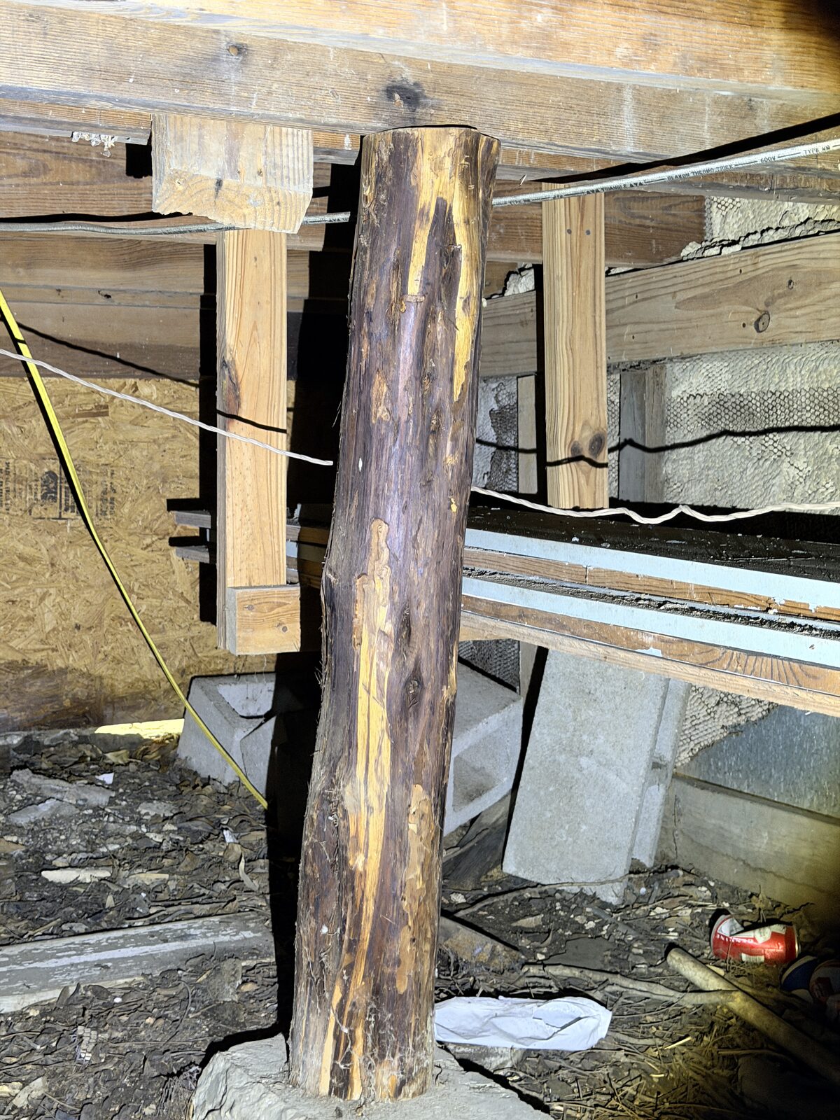 Original cedar post carrying floor framing in the crawl space of an older pier and beam home