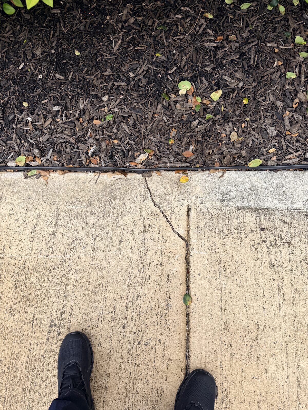 Sidewalk cracked along the control joint