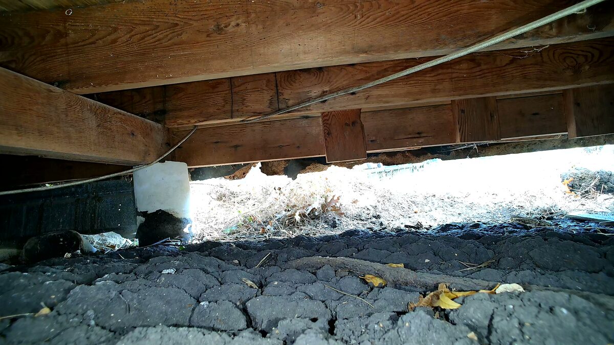 Daylight under the outside edge of a raised floor between separate piers, seen from inside the crawl space