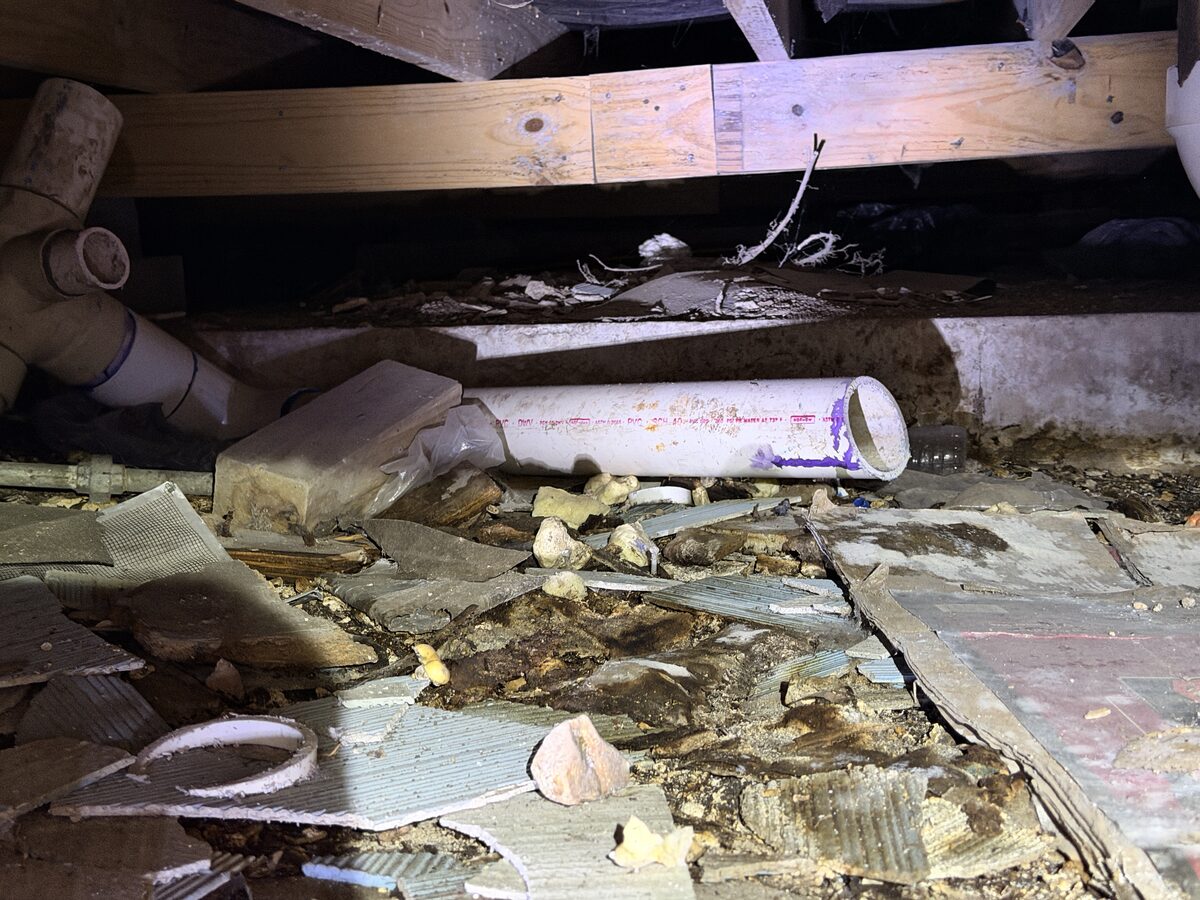 Severely decayed subfloor and framing above a white drain line