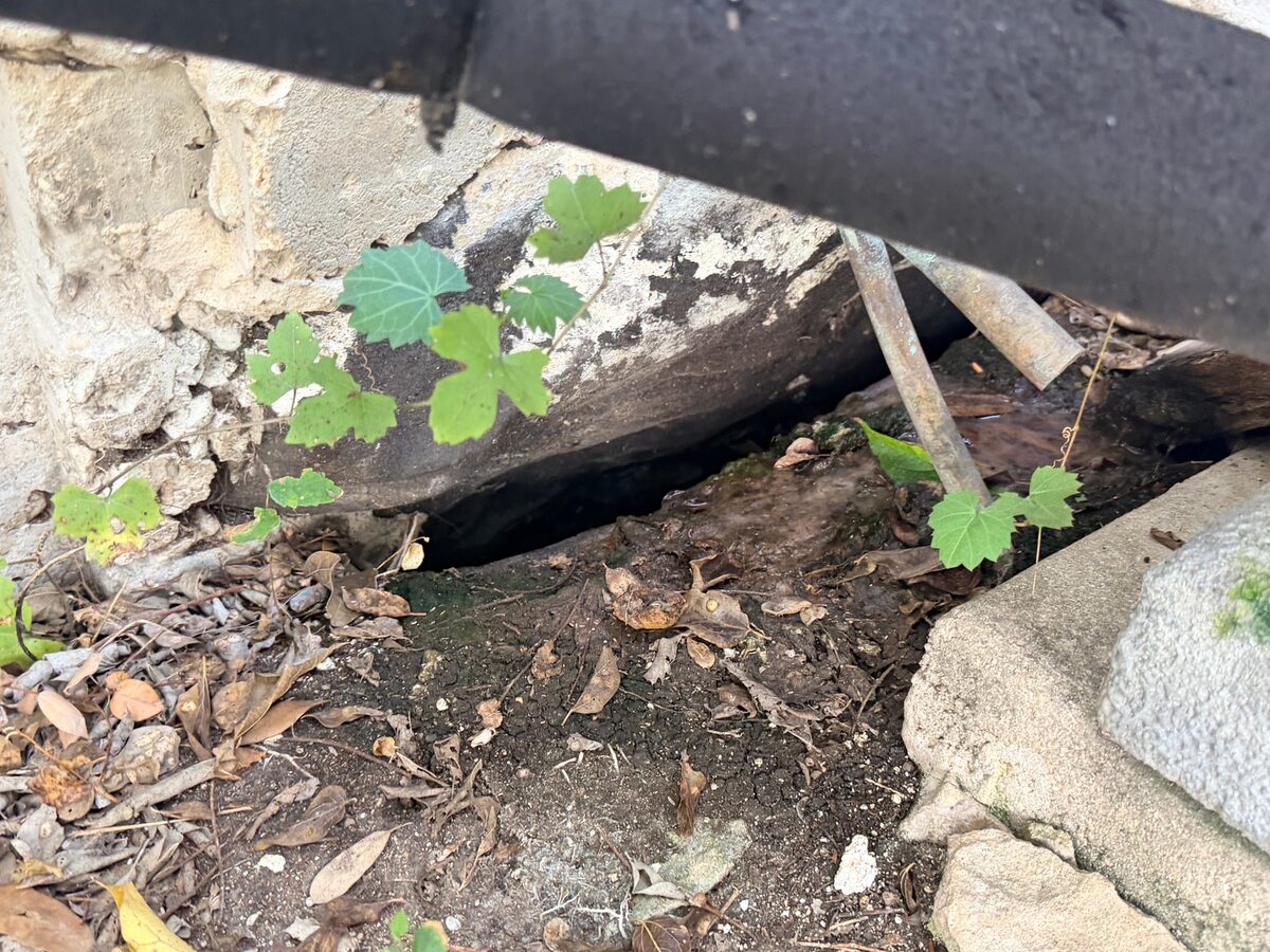 Open space beneath the edge of a concrete beam with leaves and broken concrete pieces around it