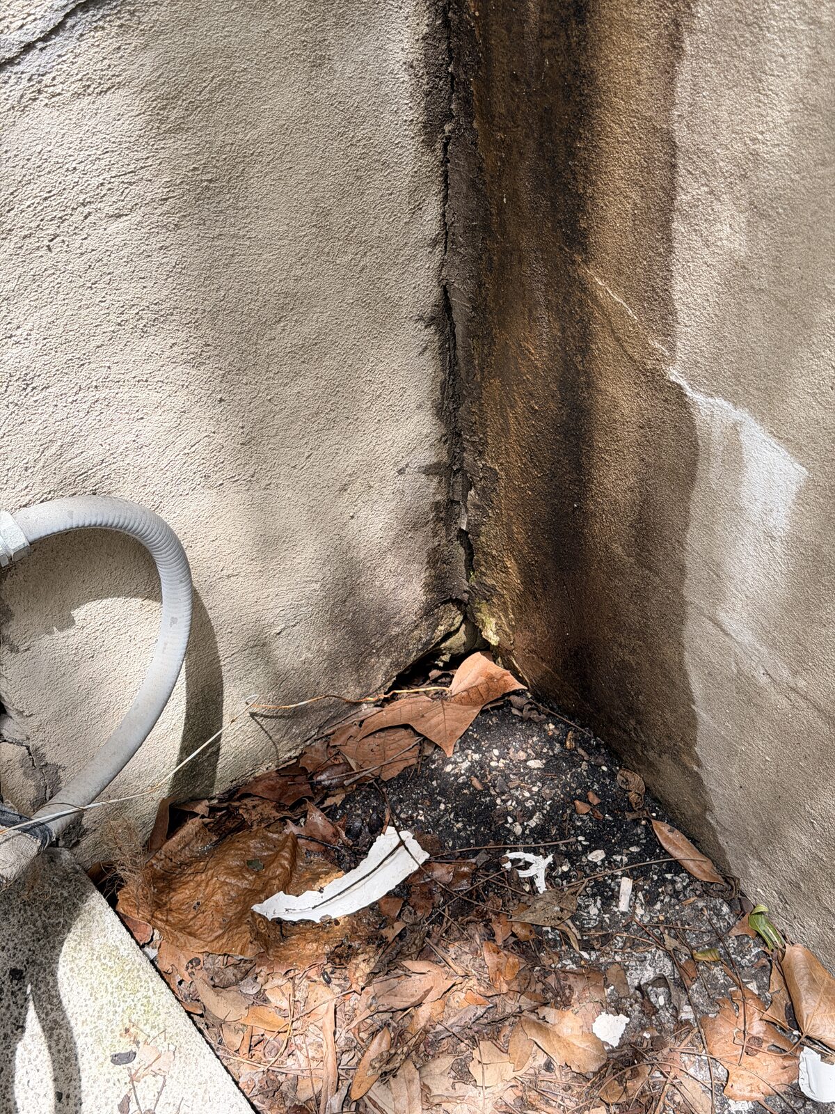 Dark moisture staining on a foundation corner with wet leaves piled against it