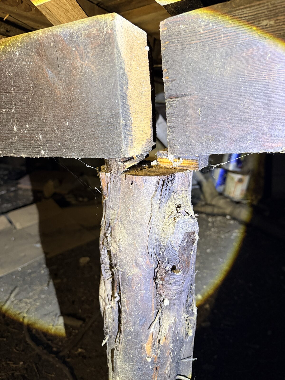 Splintered end of a wood girder at its bearing point under floor framing