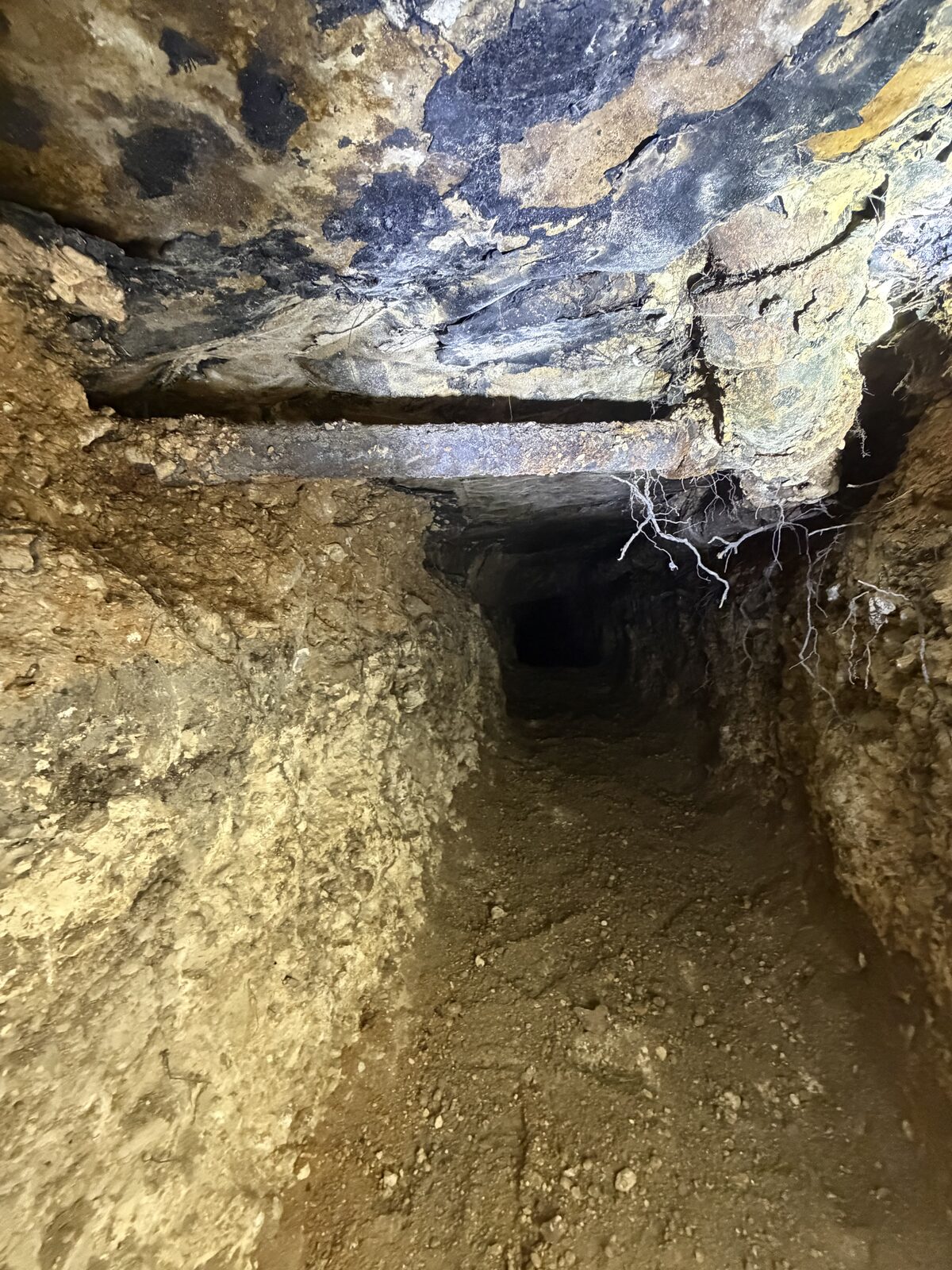Access opened under a foundation so a pre-closing repair can be made on time.